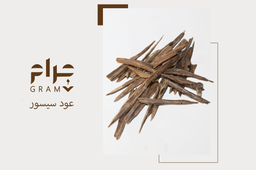 عود سيسور