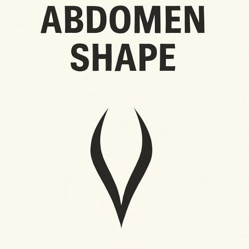 SHAPE&ABS