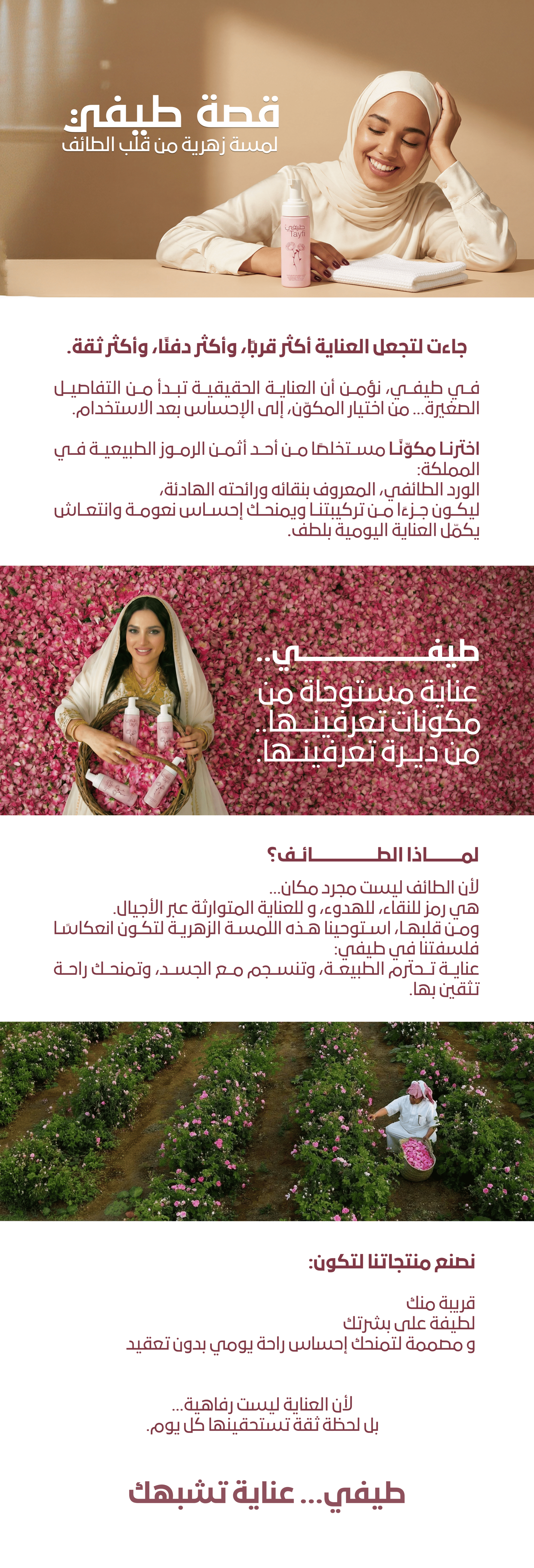 Tayfi-Story-1-1