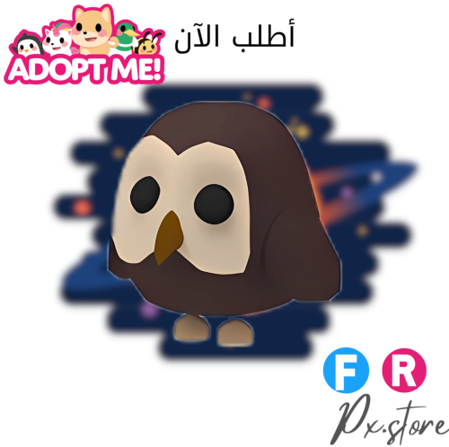 Owl