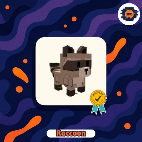 Racoon