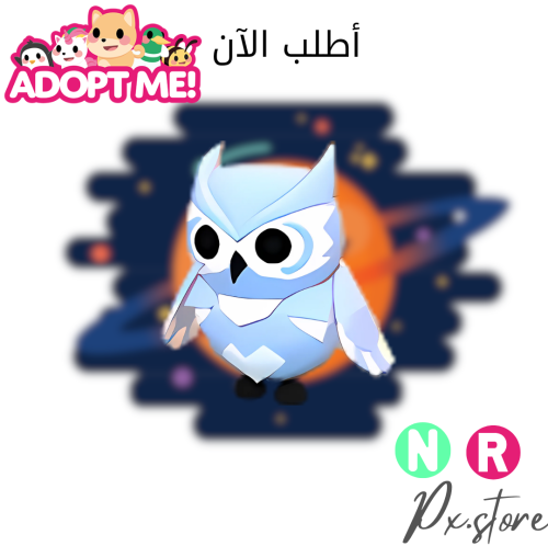 NR Snow owl