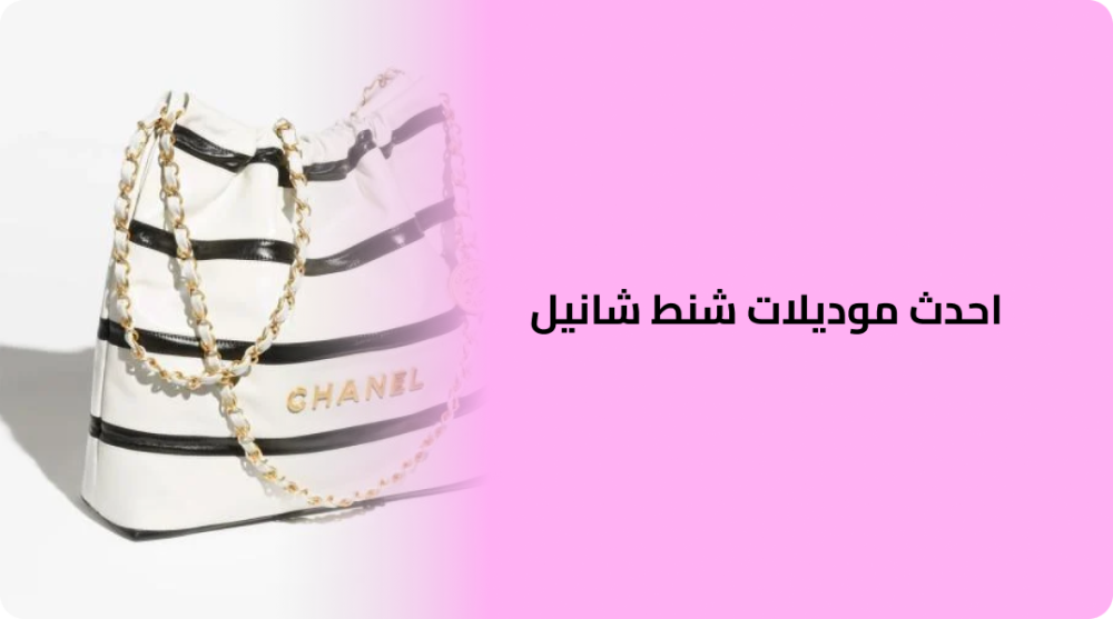 Latest Chanel bag models