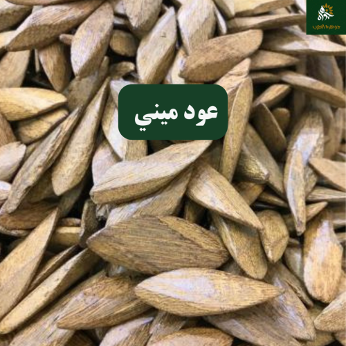 عود ميني