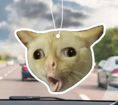 تعليقة قط