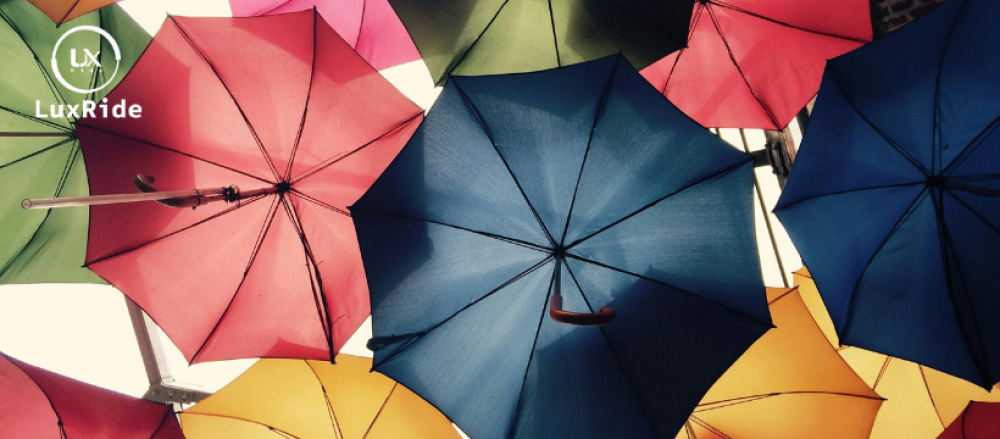 مظلة الزجاج الأمامي