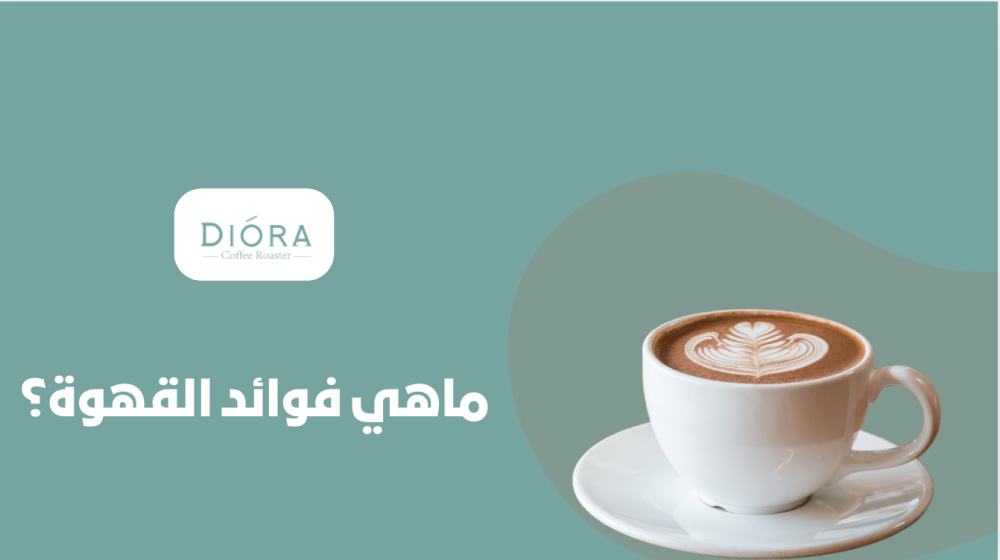 ماهي فوائد القهوة؟ 10 أسباب تجعلك تشربها يوميًا