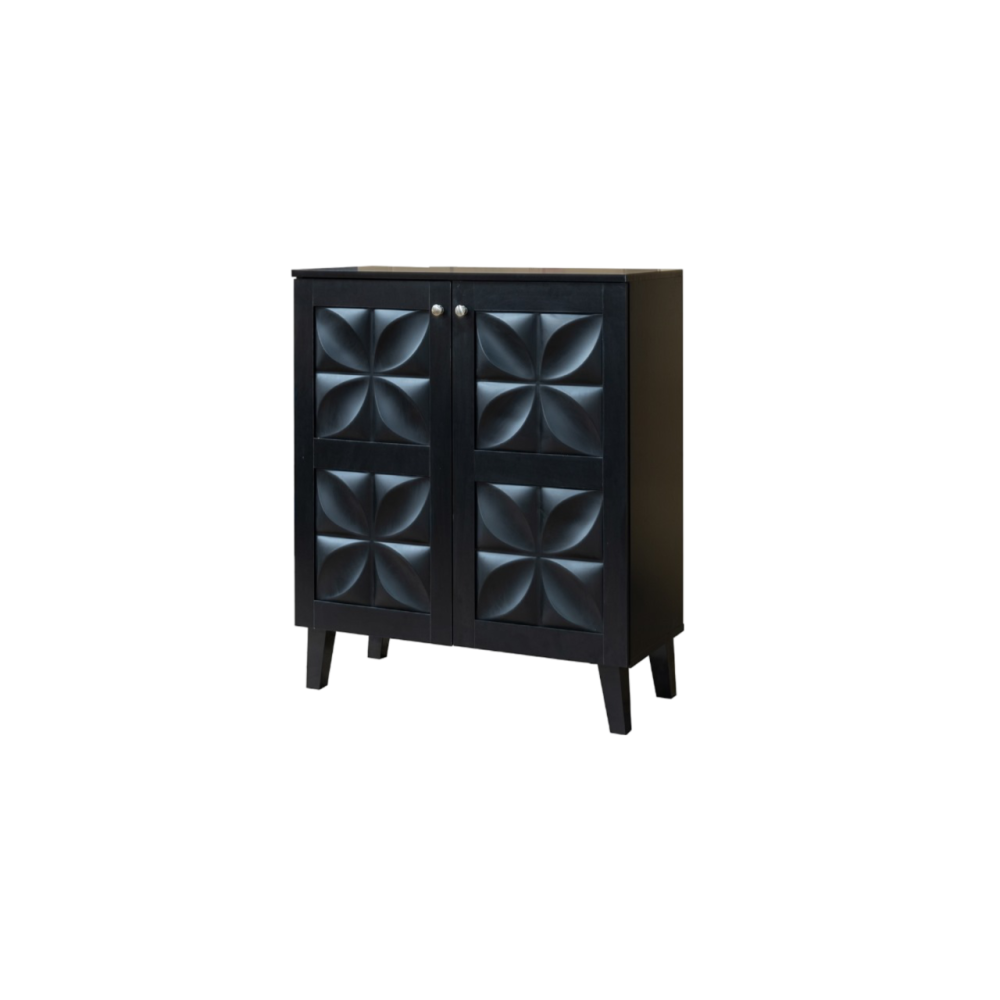 دولاب أحذية رائع لون أسود 2 باب