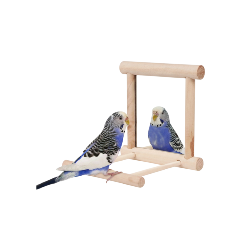 مرآة للطيور Mirror for birds