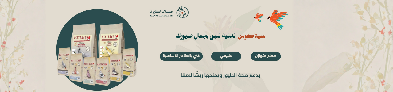 psittacus | سيتاكوس