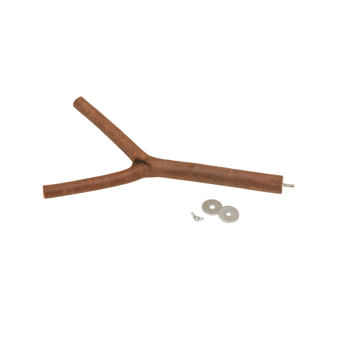 مجثم لطيور