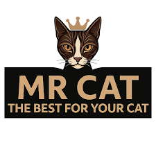 مستر كات MR CAT