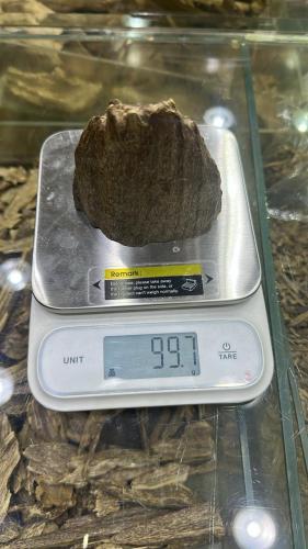 كلمنتان مالينو تربل اندر وتر