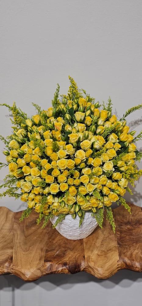 فازة شمس الأمل