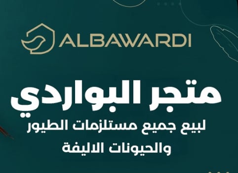 store avatar