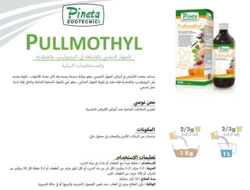 250M مساعد الجهاز التنفسي Pullmothyl Pineta ( سائل...