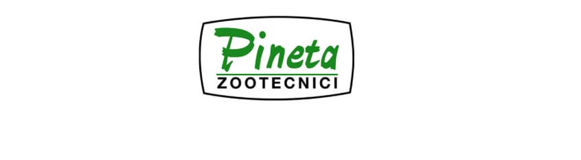 Pineta