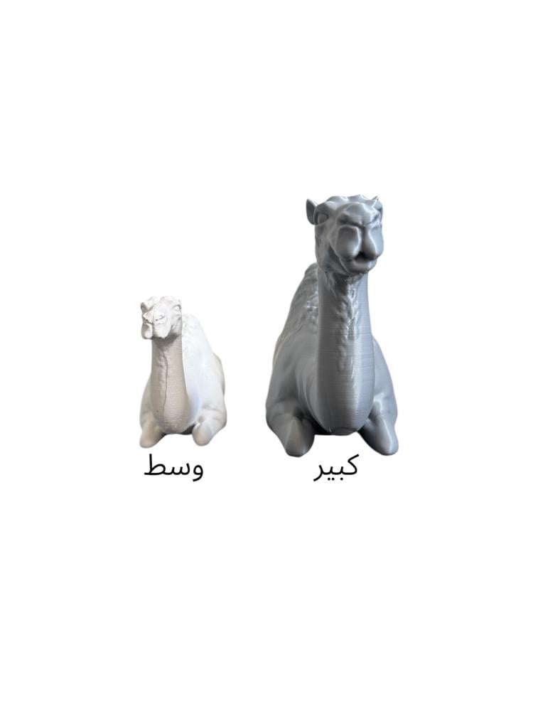 قالب سيليكون غذائي لجمل كبير