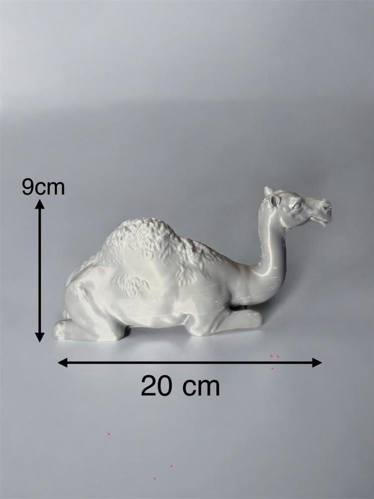 قالب سيليكون غذائي على  لجمل وسط