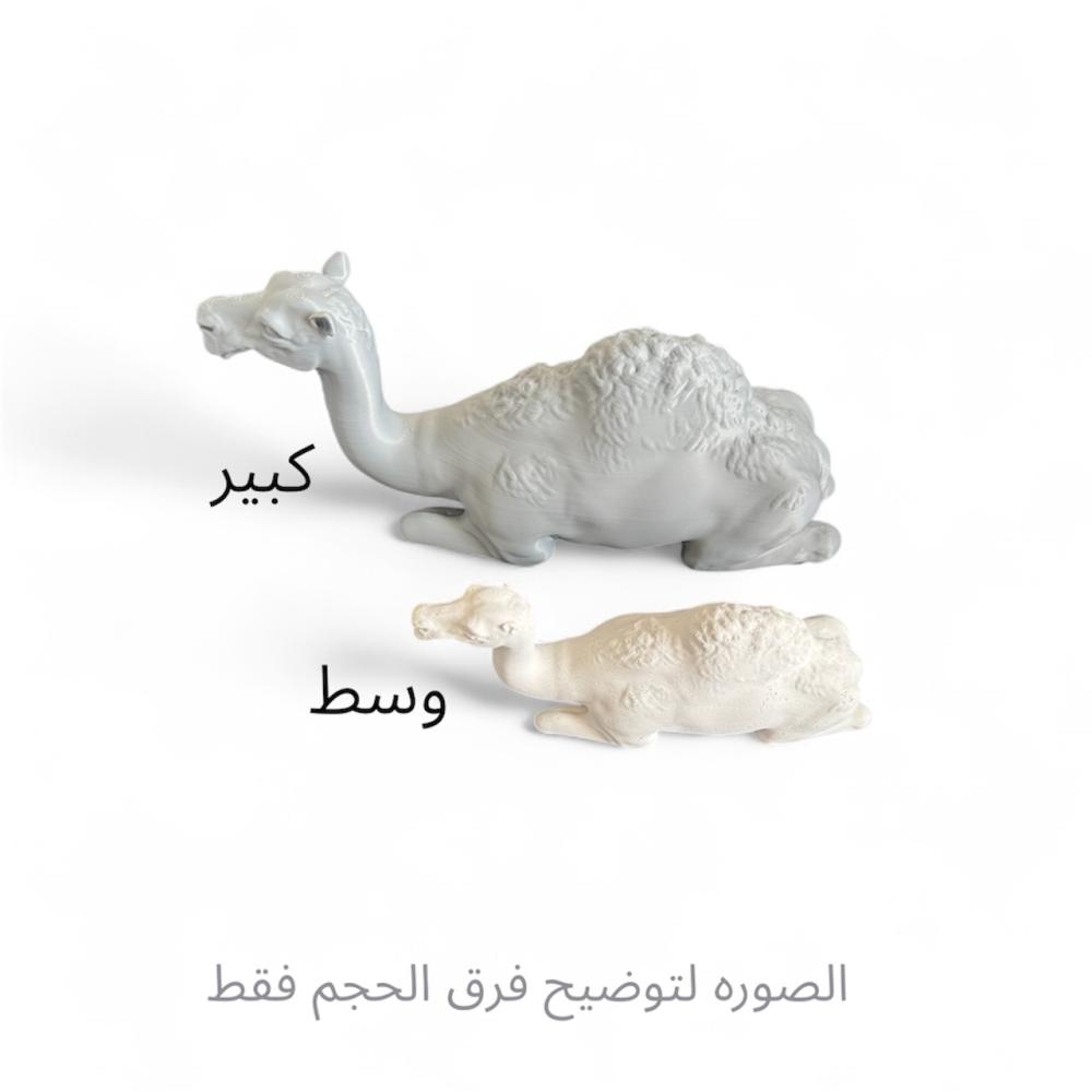 قالب سيليكون غذائي لجمل كبير