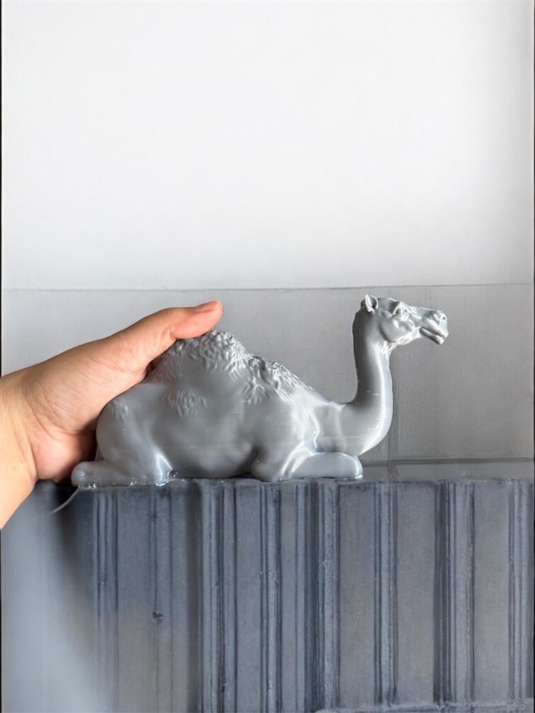 قالب سيليكون غذائي على  لجمل وسط