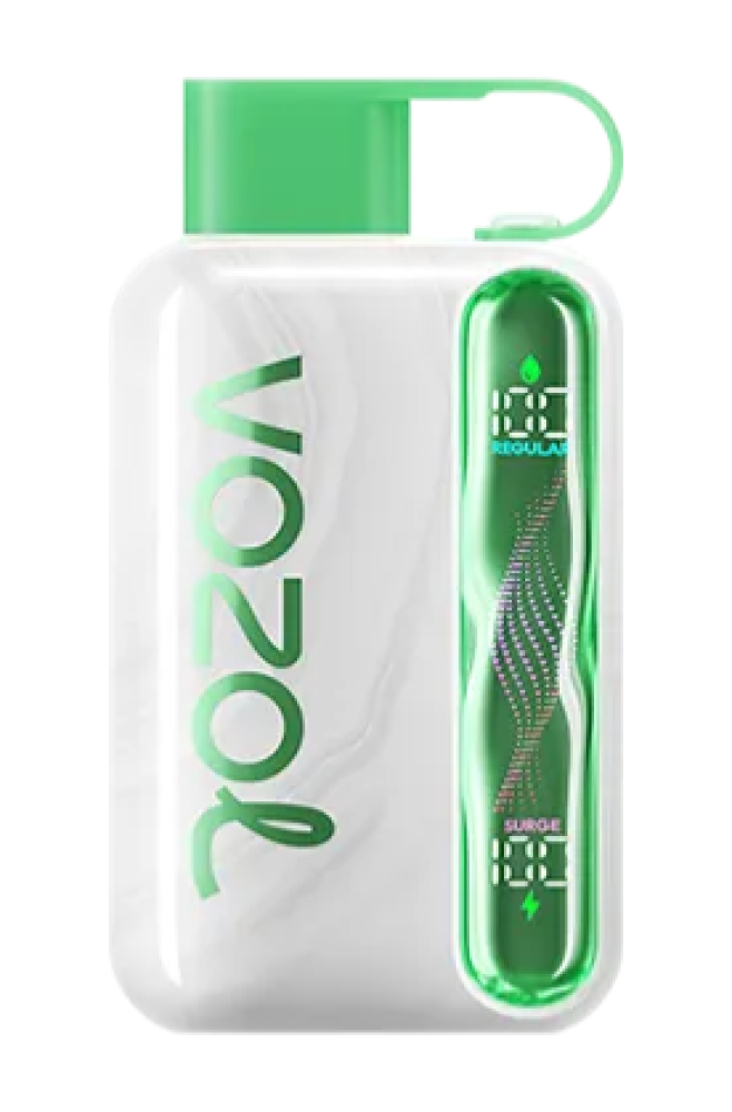 Vozol star 40K puff 5MG -    40  - VAPE AND SAM