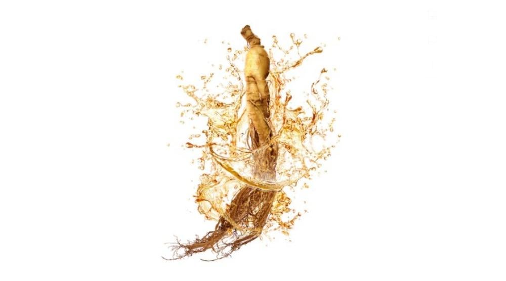 عشبة الجنسنج
