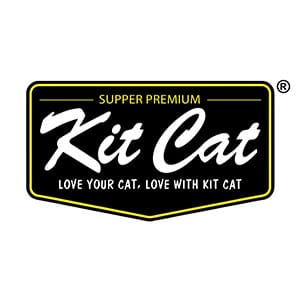 كيت كات