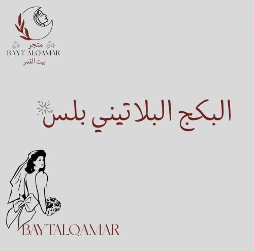 البكج البلاتيني بلس