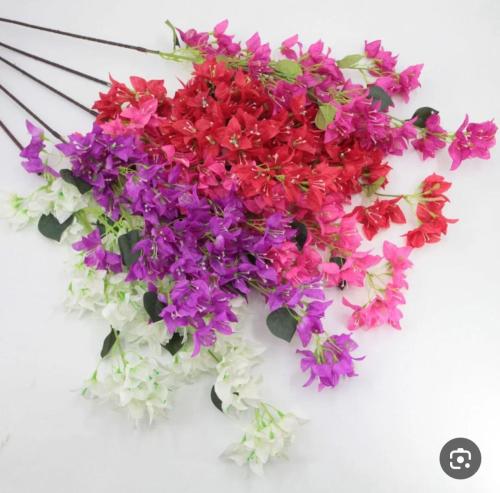 ازهار الجهنميه