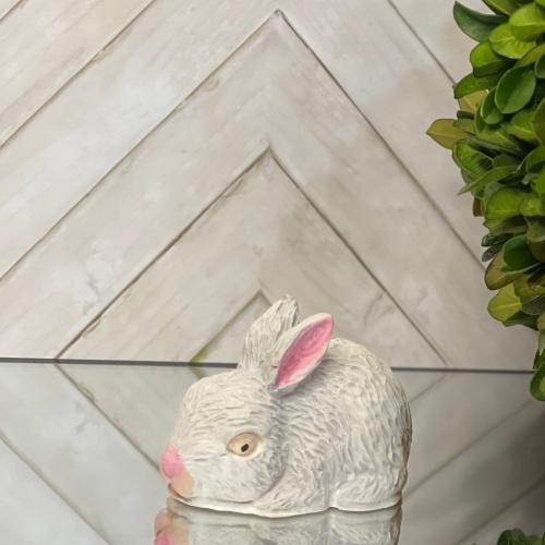 أرنب - Rabbit