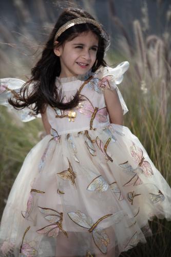 فراشات ملونه
