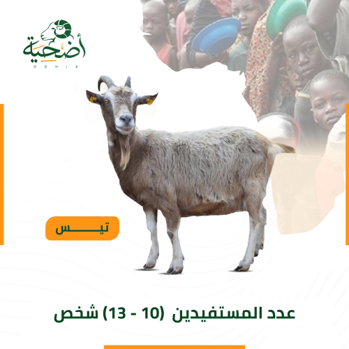 تيس