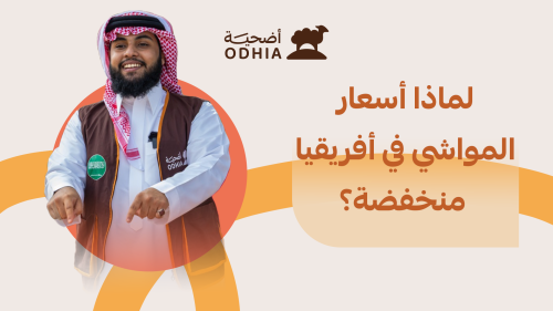 لماذا أسعار المواشي في أفريقيا منخفضة؟ دليلك لبيئة السواكني والتيوس والأبقار في أفريقيا