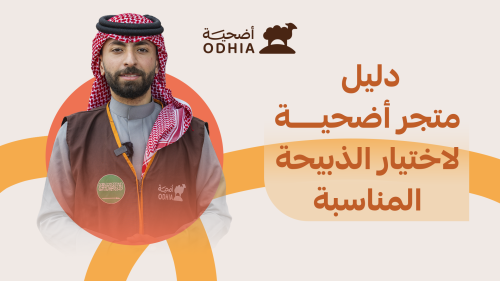 النعيمي أم النجدي أم السواكني؟ دليل متجر أضحية لاختيار الذبيحة المناسبة وفق ميزانيتك واحتياجاتك