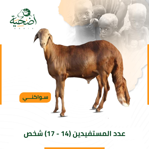 سواكني