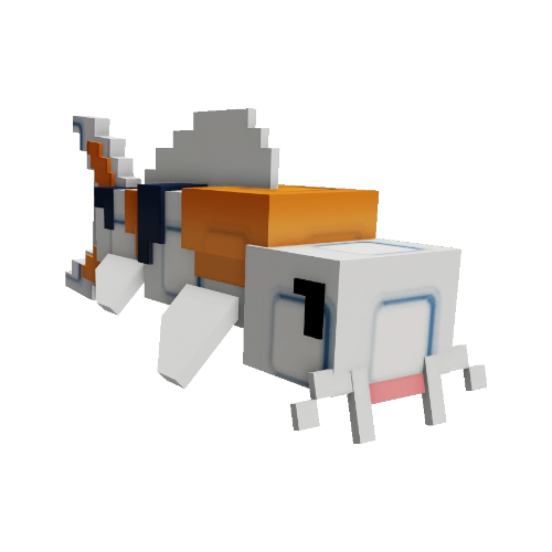 Koi