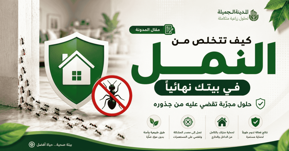 كيف تتخلص من النمل في بيتك نهائياً — حلول مجرّبة تقضي عليه من جذوره