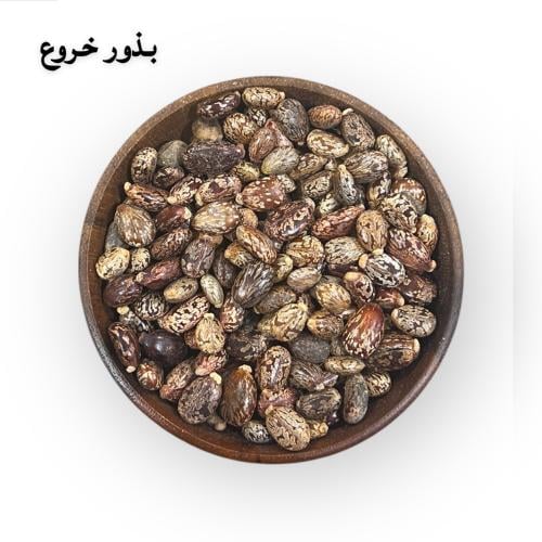 بذور الخروع