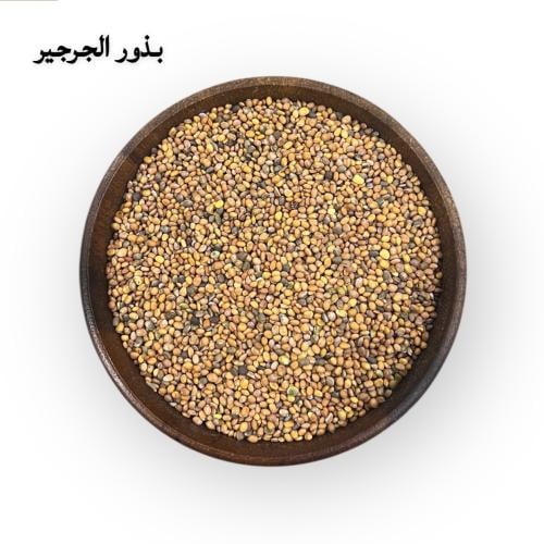 بذور الجرجير