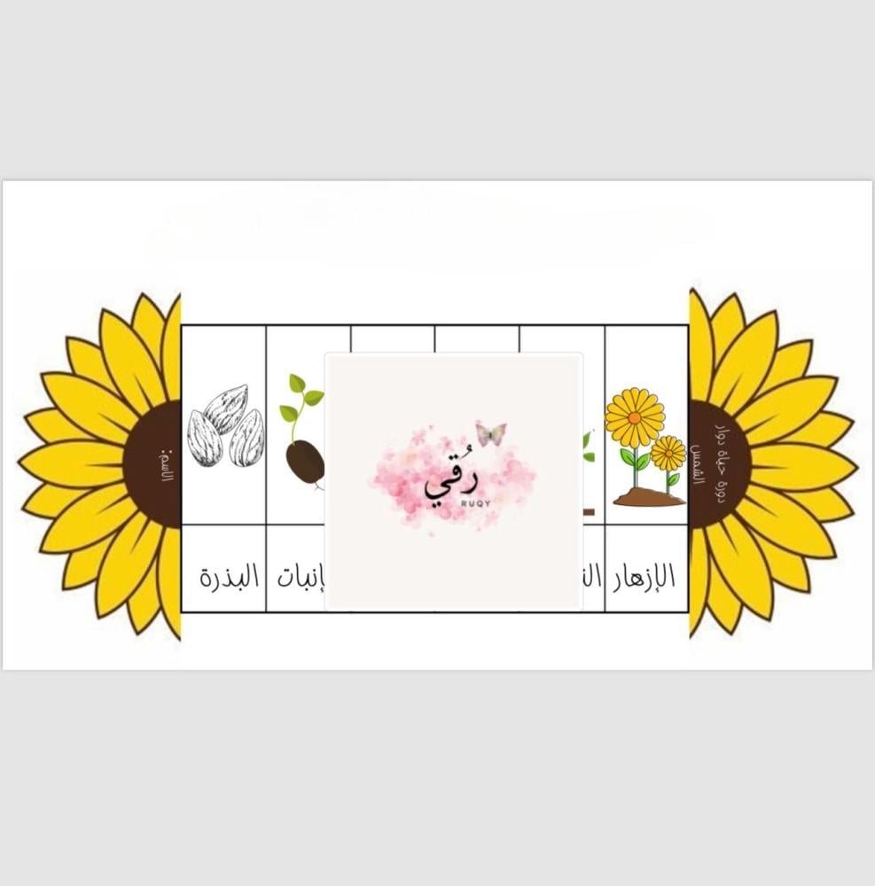 مطويه علوم الصف الثالث ( دورات حياة النباتات)
