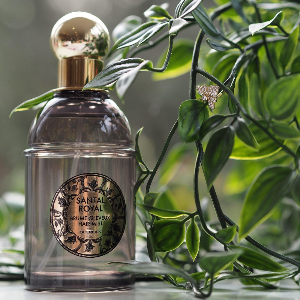 جيرلان سانتال رويال معطر للشعر 75 مل