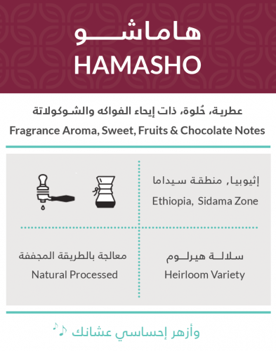 قهوة هاماشو 250g كفة