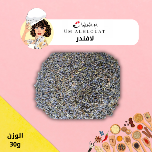 لافندر