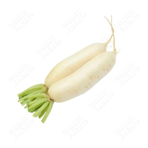 فجل أبيض محلي