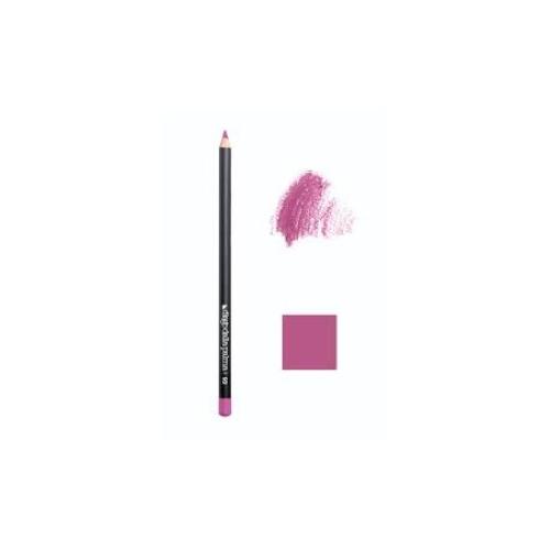 قلم تحديد الشفاه دييغو دالا بالما رقم 93