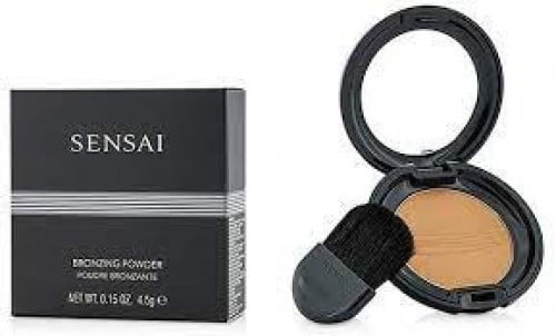 Kanebo Sansai Base powder 101