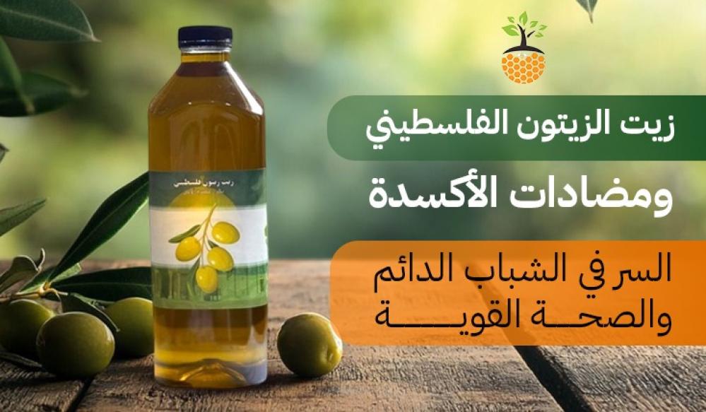 ما الذي يميز زيت الزيتون الفلسطيني عن غيره؟ | زيت الزيتون الفلسطيني الأصلي