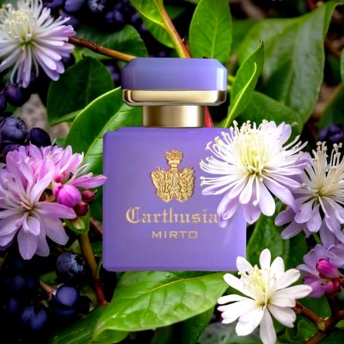 Intenso di Mirto Carthusia
