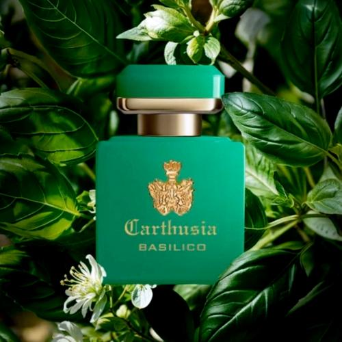 Intenso di Basilico Carthusia